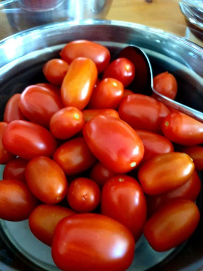 Sifnos Hotel Benaki Platis Gialos  Eksteriør billede